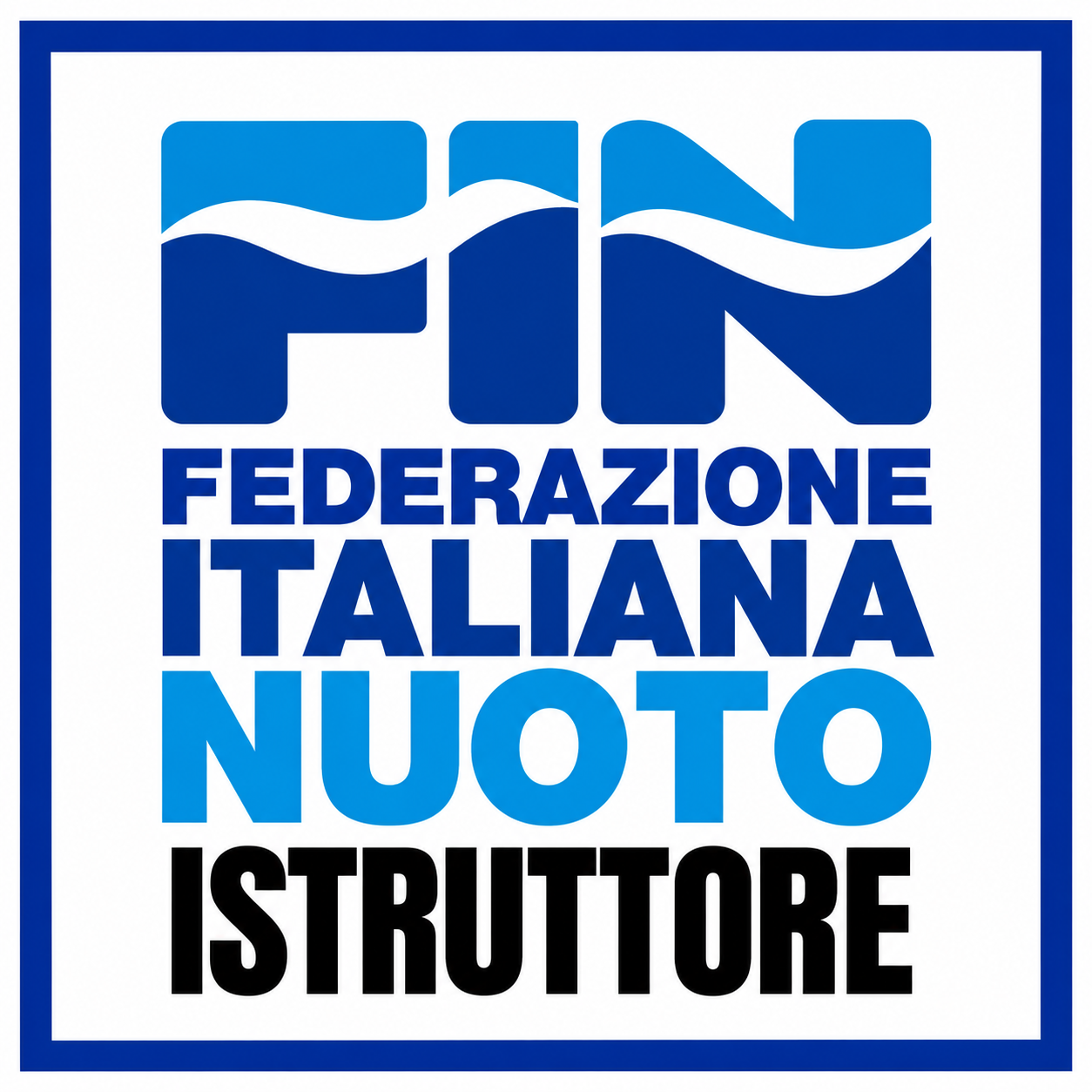 Logo FIN