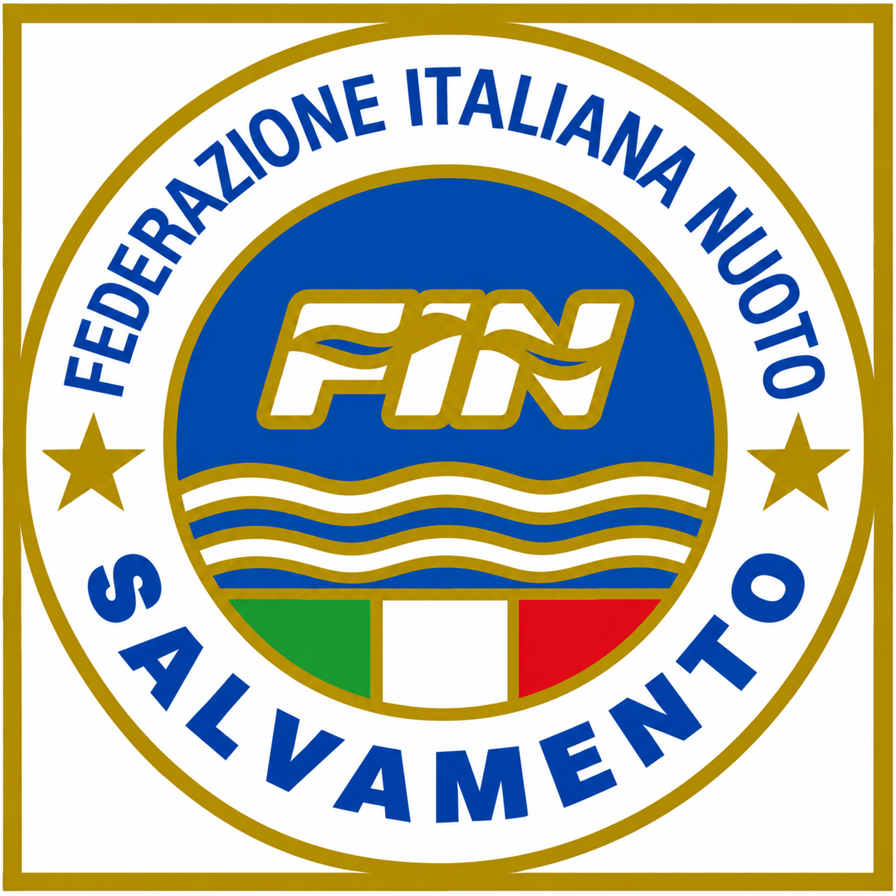Logo FIN