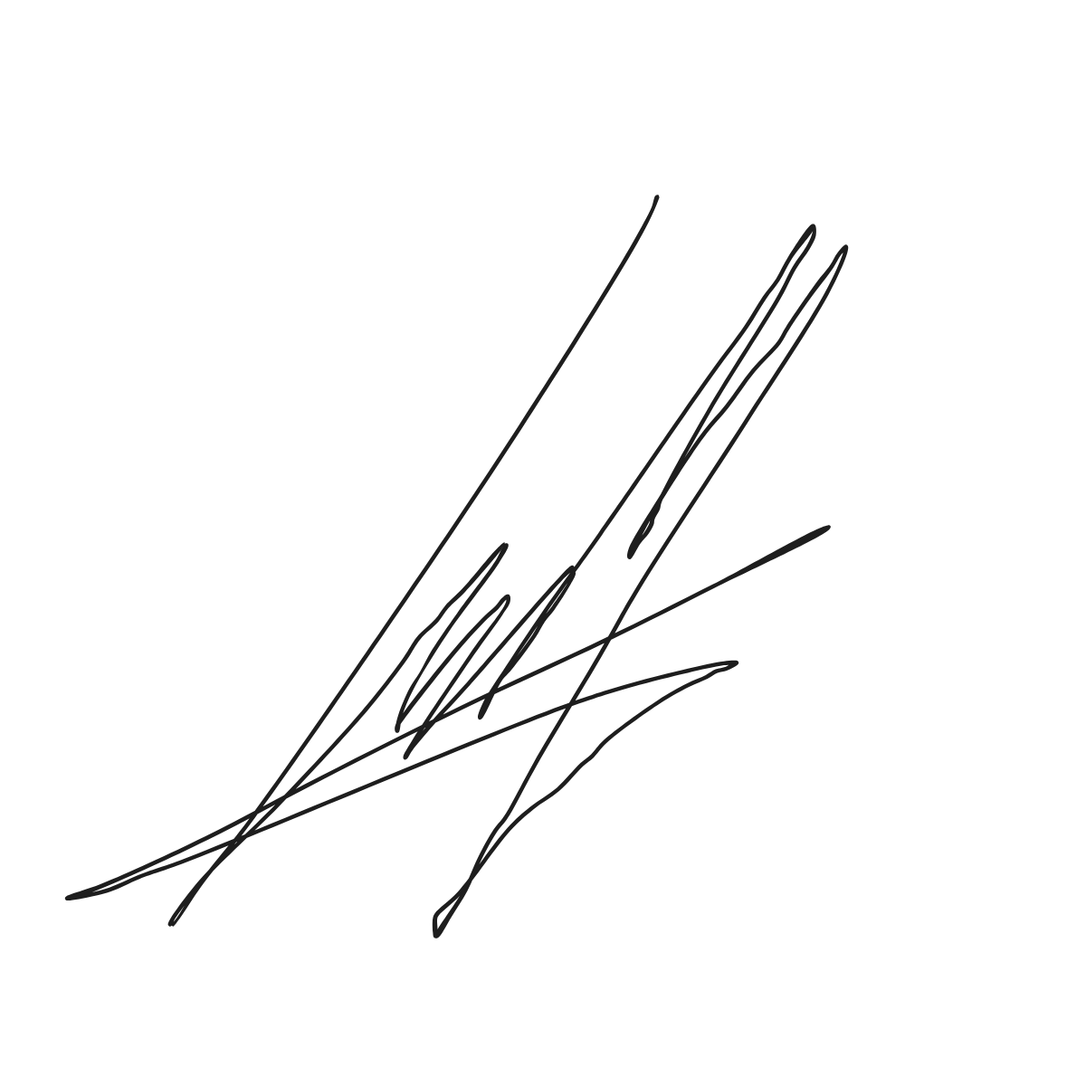 Firma di Leonardo Maccari